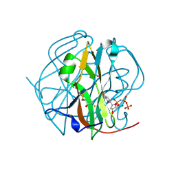 BU of 3tpn by Molmil