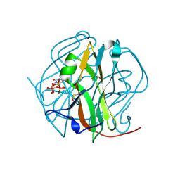 BU of 3tps by Molmil