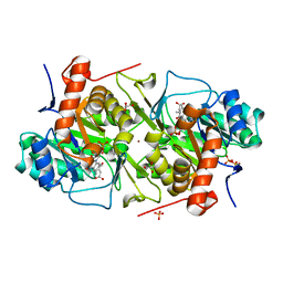 BU of 3tq0 by Molmil