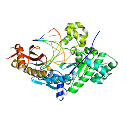 BU of 3tq1 by Molmil