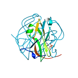 BU of 3tq3 by Molmil