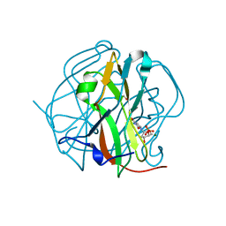 BU of 3tq4 by Molmil