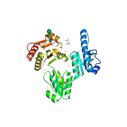 BU of 3trq by Molmil