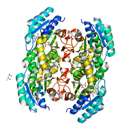 BU of 3tsc by Molmil