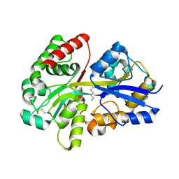 BU of 3ttm by Molmil