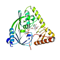 BU of 3tx1 by Molmil