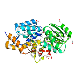 BU of 3tx6 by Molmil