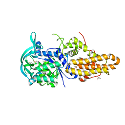 AU of 3u1g by Molmil