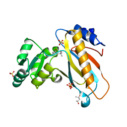 AU of 3u42 by Molmil