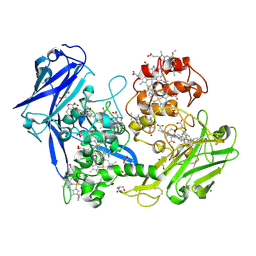 BU of 3ucp by Molmil