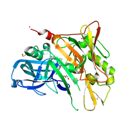 BU of 3udp by Molmil