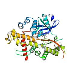 BU of 3udt by Molmil