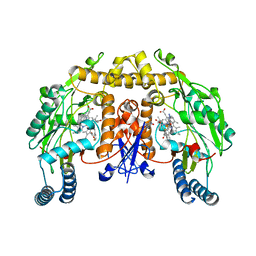 BU of 3ufp by Molmil