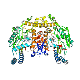 BU of 3ufq by Molmil