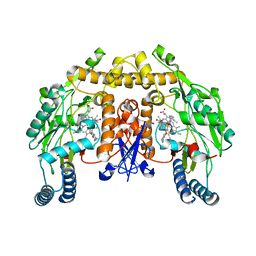 BU of 3ufv by Molmil