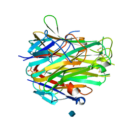 AU of 3ugn by Molmil