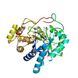 BU of 3ugr by Molmil