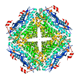 BU of 3ugv by Molmil