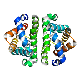 BU of 3uhv by Molmil