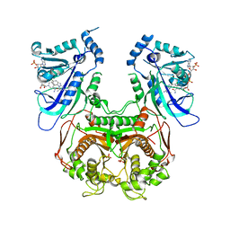 BU of 3um8 by Molmil