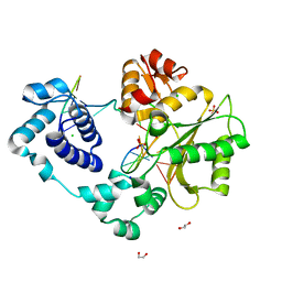 BU of 3uq0 by Molmil