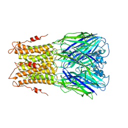 BU of 3uq4 by Molmil