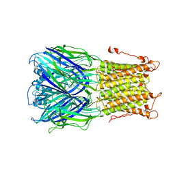 BU of 3uq7 by Molmil