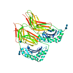 AU of 3usa by Molmil
