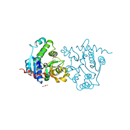 BU of 3usq by Molmil