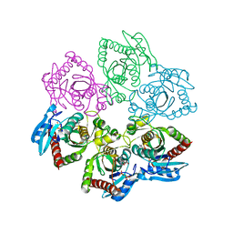 BU of 3ut6 by Molmil