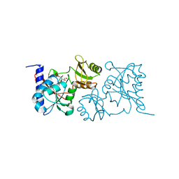 BU of 3uw1 by Molmil