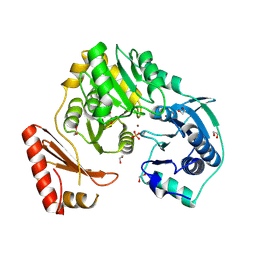 BU of 3uw2 by Molmil