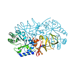 BU of 3uw6 by Molmil