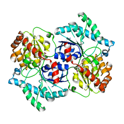 BU of 3uyl by Molmil