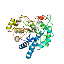 AU of 3v9q by Molmil