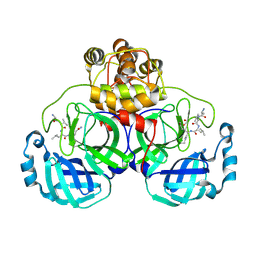 BU of 3vb6 by Molmil