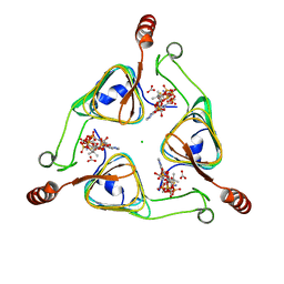 BU of 3vbk by Molmil