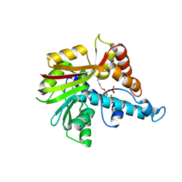 BU of 3vc2 by Molmil