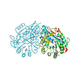 BU of 3vc6 by Molmil