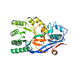 BU of 3vcc by Molmil