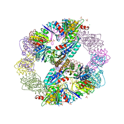 BU of 3vcd by Molmil