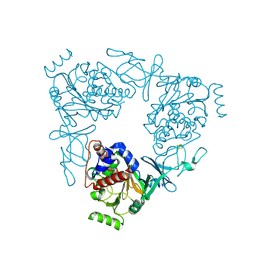 BU of 3vcp by Molmil