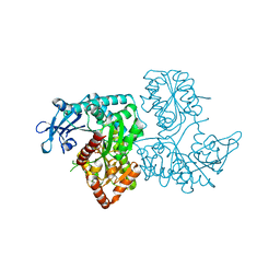 BU of 3vdn by Molmil