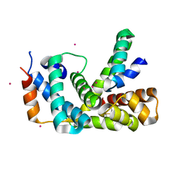 AU of 3vdo by Molmil