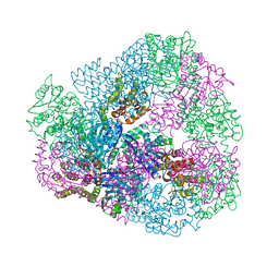 BU of 3vdx by Molmil