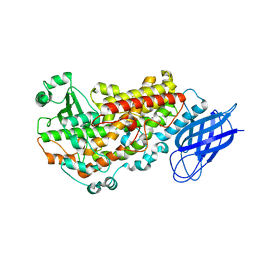 BU of 3vf1 by Molmil