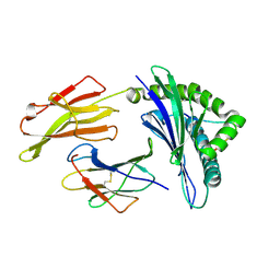 BU of 3vft by Molmil