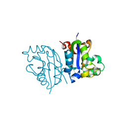 BU of 3vgt by Molmil