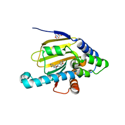 BU of 3vha by Molmil