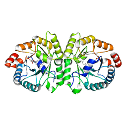 BU of 3vk5 by Molmil